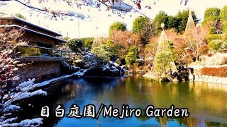 4K 雪/【豊島区立目白庭園】東京都豊島区/【Mejiro Garden】 Toshima ward, Tokyo, Japan