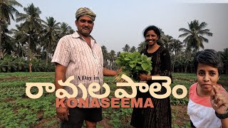 Ravulapalem | రావుల పాలెం | కోనసీమ | Exploring Konaseema