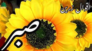 Golden Words | Aqwal e Zareen in urdu  |  |Beautiful Quotes Collection | SABR | PATIENCE
