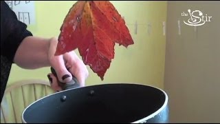 Preserve Autumn Leaves to Decorate Year-Round! - Crafty Mom's Weekly Challenge, Episode 21