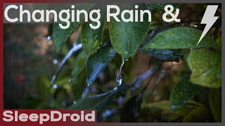 ► Very Active Thunderstorm and Changing Rain Sounds for Sleeping, (lluvia y truenos) Slow Motion