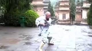 Shaolin 7 Stars Fist Qi Xing Quan by Shaolin Warrior Monk Grandmaster Shi Yong Zhi of Shaolin Temple