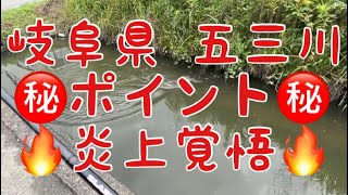 【岐阜県 五三川 バス釣り】梅雨の晴れ間にひたすら駐車場🅿️から歩いて行く㊙️シークレットポイント水路にて自称ヨンマルと対決