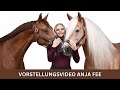 VORSTELLUNGSVIDEO ANJA FEE