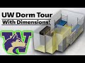 University of Washington Dorm tour 2022 (Dimensions + Models!) Maple, Elm, Lander, Willow, etc.