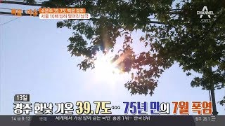 경주 한낮 기온 39.7도, 75년 만의 7월 폭염 | 김현욱의 굿모닝