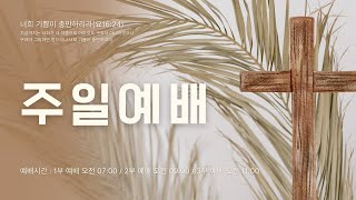 2025-01-26 I 우리의 피난처 되시는 예수님 I 장창진 위임목사 I 부천참된교회 주일3부예배