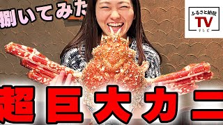 【驚愕】モンスタークラスの超巨大カニを食べてみた/タカアシガニの捌き方 / 蟹のお取り寄せ