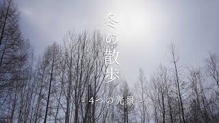 冬の散歩。当麻、くるみなの散歩道｜今だけ見れる美しい光景４つ。