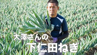 【旬の美味しさにこだわる旬すぐ（国産100％）】（群馬県下仁田町）太くて甘い下仁田ねぎ