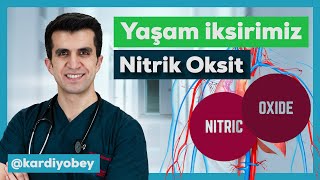 Yaşam İksiri: Nitrik Oksit