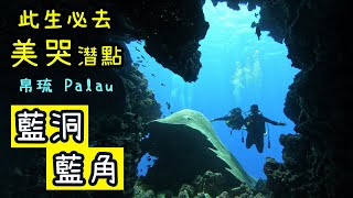 【Palau ｜ Blue Hole, Blue Corner】 A must visit spot in this life ~