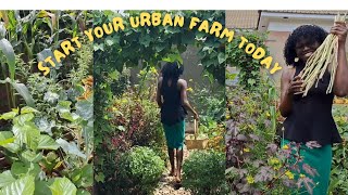 Why You Should Start Your Urban Farm Today