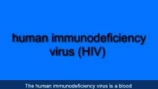 28 Chapter 06 Part 04 Pathologies and Procedures