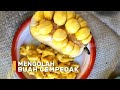 Mengolah Buah Cempedak | SI BOLANG (15/05/24)