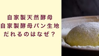 【自家製天然酵母】自家製酵母パン生地がだれるのはなぜか　フルーツ酵母　自家製天然酵母　パン教室　教室開業　奈良　オンライン講座