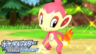 【ポケモンBDSP】大変！大変！大変！！！！　#17【ダイパリメイク】