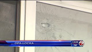 Young girl, man transported to hospital after drive-by shooting in Opa-Locka