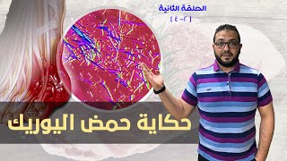 حكاية حمض اليوريك ( البولينا ) | أشهر أملاح الجسم [ بيحميه و بيوجعه ] | سلسلة حلقات النقرس | ح2