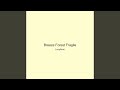 Breeze Forest Fragile