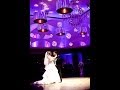 Amazing Lebanese Wedding Reception of Fouad & Amanda pt.2 of 2