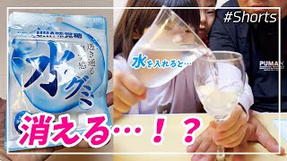 【検証👀】話題の『水グミ💧』に「水」を入れたら消えるらしい…？【#Shorts | マジック】