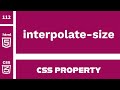CSS Property : interpolate-size explained !