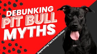 Debunking Pit Bull Myths | Separating Fact from Fiction