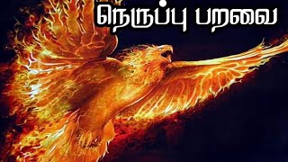 பீனிக்ஸ் பறவை | Phoenix | Tamil Akavan.