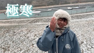 その頃イルカたちは【壱岐イルカパーク\u0026リゾート】