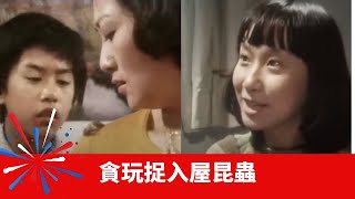 貪玩捉入屋昆蟲 靈體附身飛蛾帔困 兒子畀鬼上身談判丨幻海奇情 在線重溫 陳欣健