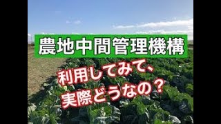 農地中間管理機構（農地バンク）の仕組み、実際に利用してみて感じたメリット・デメリット＜#１５７＞