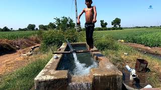 Beautiful Farm Of Gujarat || India ||Gujarat Farmers lifestyle