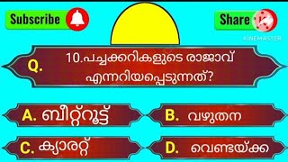 പച്ചക്കറികളുടെ രാജാവ് എന്നറിയപ്പെടുന്നത്/ generalknowledge/QuizeGkquestionand answer/currentaffairs/