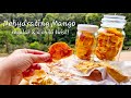 Dehydrating Mangos | How to make Dehydrated Mangos WITH A CHILLI TWIST