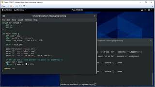 Void Pointers in C