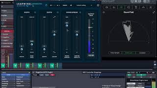 LeapWingAudio stageone vocal