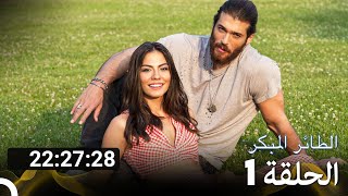 جميع الحلقات من مسلسل الطائر المبكر الموسم 1 (Arabic Dubbed)