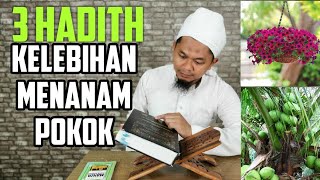 3 Hadith Kelebihan Menanam Pokok #pertanian