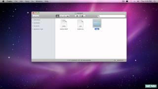Web Development from Scratch 7 - Folder Organization
