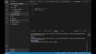 How to print without newline in Python