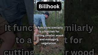 Axe Facts - Billhook #smallaxe #axethrowing #didyouknow #vintageaxe