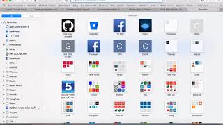 Objective-C Parser json