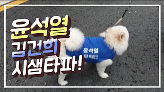 신림동 도림천 현황!