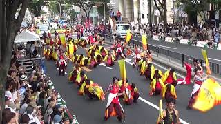 2017 どまつり　肥後真怐～九州がっ祭り～　大津通パレード　東　審査