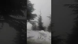#montagne #neige #kabylie #snow