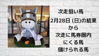 2月28日(日)のレースから次走狙い馬　単枠指定【優騎】血統解説家　#次走狙い馬　#競馬予想　#重賞予想　#血統　#POG　#一口馬主　#社台政治　#馬主経済