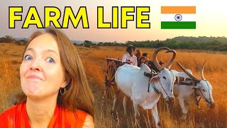 I Stayed at the Farm of Happiness in India 🇮🇳  Konkan Roadtrip