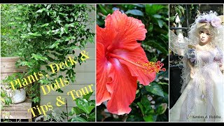Our PLANTS, DECK & DOLLS !  DECORATIVE & EDIBLE PLANTS  + TIPS