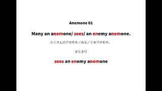 英語よみきかせリズミクス anemone 01